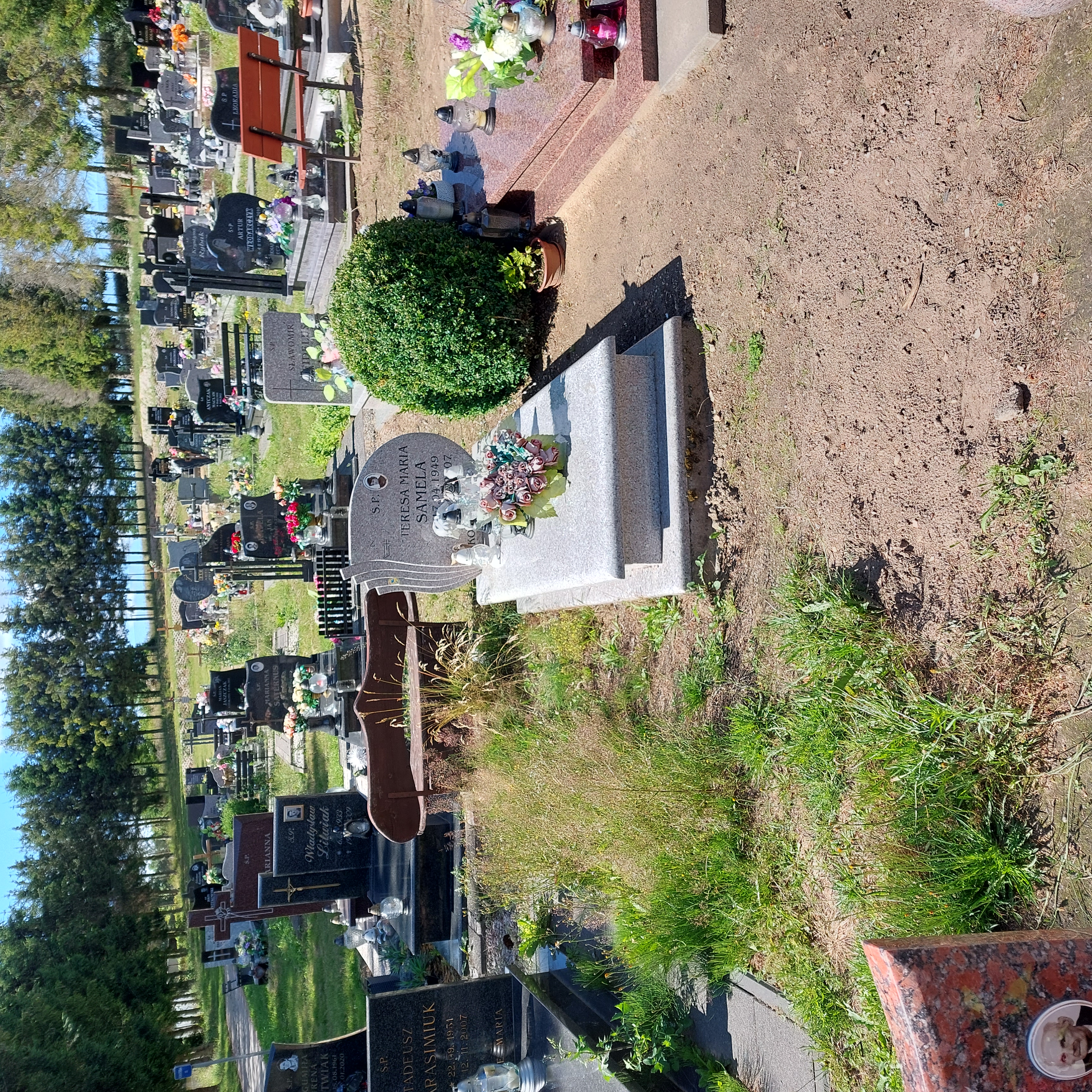 Grób Teresa Samela